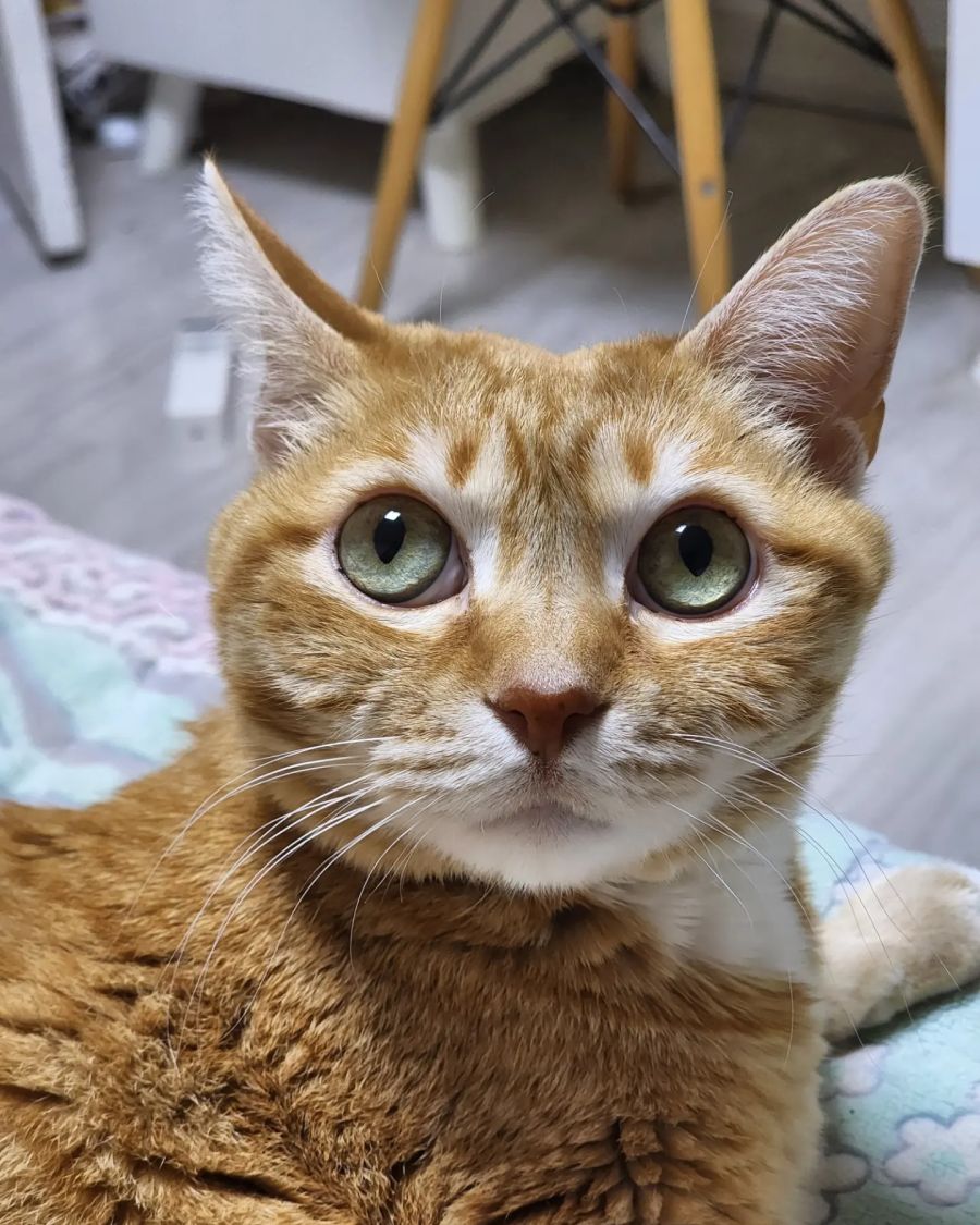 갤22 울트라 카메라 좋네요_3.jpg