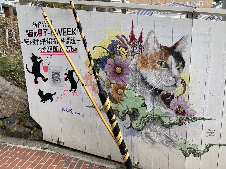 니코의 여행(22년 2월말) 스왑주의_10.jpg