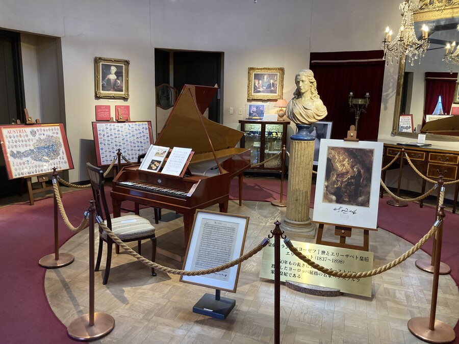 니코의 여행(22년 2월말) 스왑주의_21.jpg