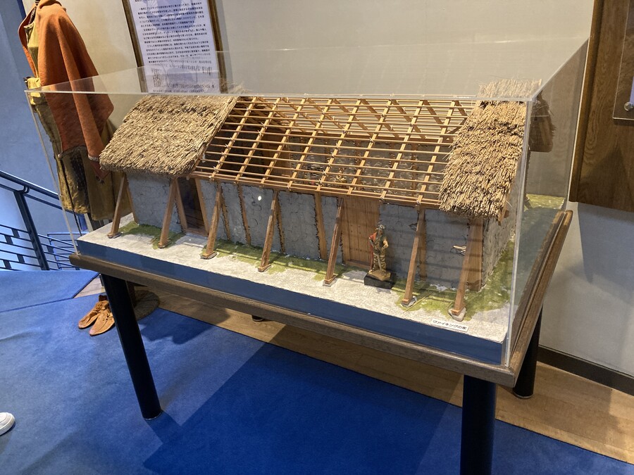 니코의 여행(22년 2월말) 스왑주의_23.jpg