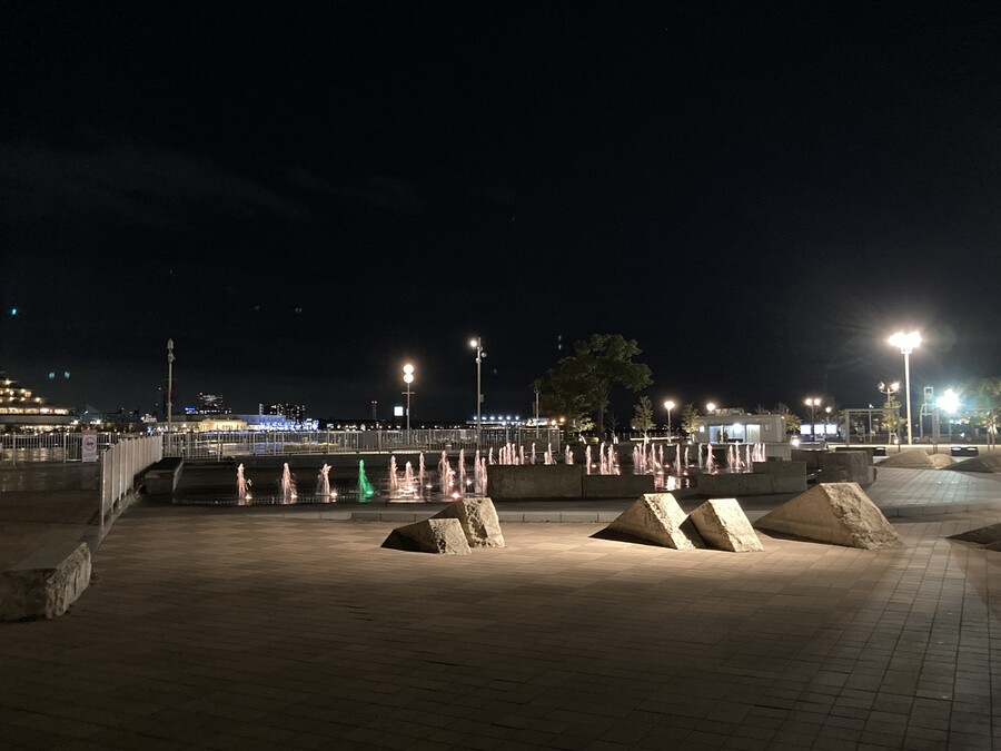 니코의 여행(22년 2월말) 스왑주의_36.jpg