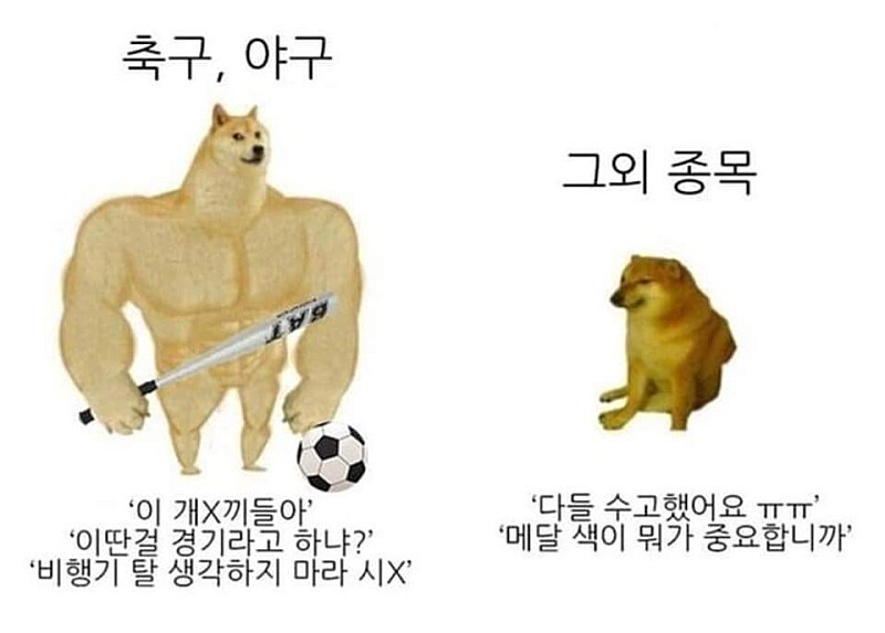 스포츠 인기종목과 비인기종목의 차이.jpg_1.jpg