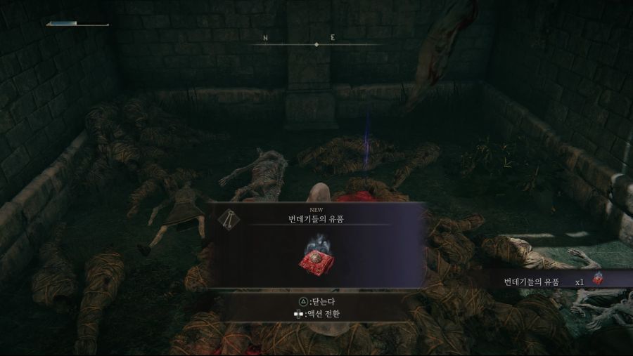 영체 뼛가루 강화하는 방법 ^^_4.jpg