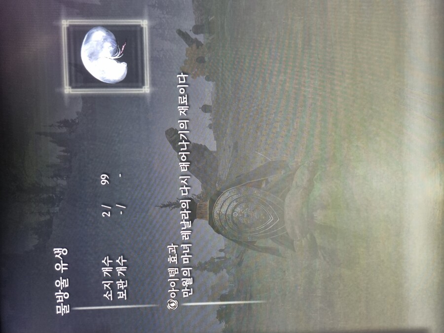 스텟초기화용 물방울 유생+유년 학도의 모자/로브 획득장소_2.jpg