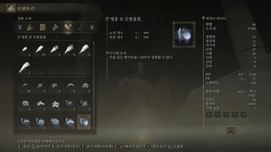 큰 영혼 묘 은망울꽃 위치_2.jpg