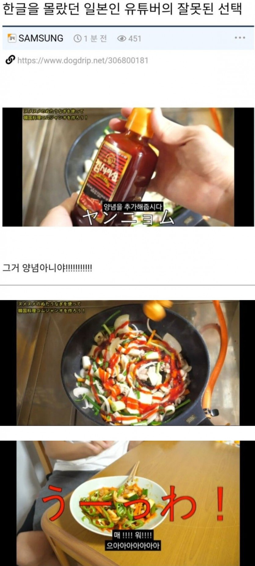 한글을 읽을 줄 몰랐던 일본인 유튜버의 잘못된 선택_1.jpg