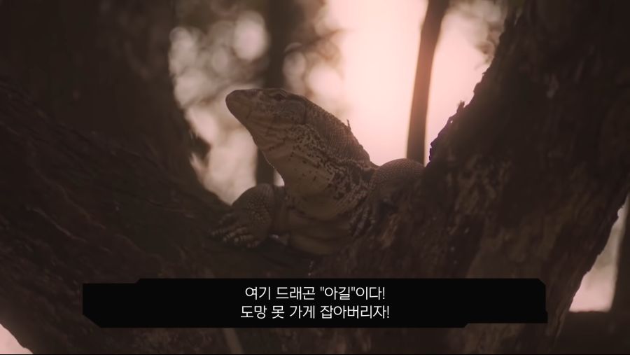 엘든 링 태국 병맛 광고 ㅋㅋ [한글 자막] 1-1 screenshot.png
