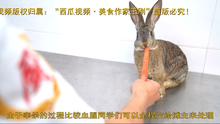 厨师长教你：自贡“冷吃兔”的正宗做法，特别的鲜辣味道绝对令人回味无穷.mp4_20220313_114823.162.png