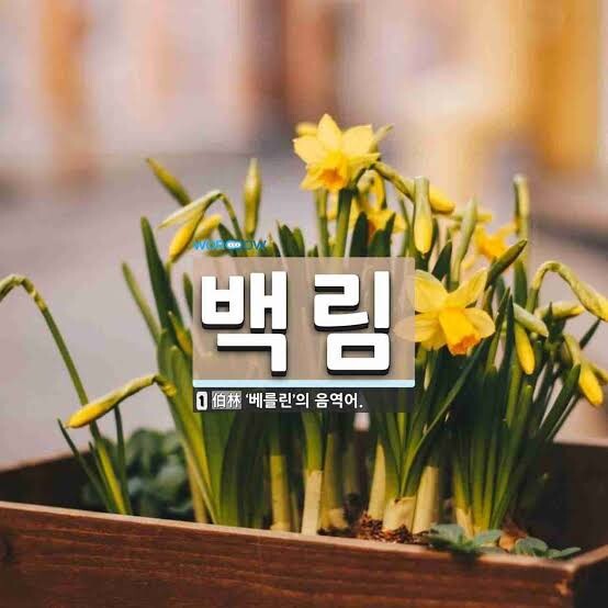백림은 서양의 도시입니다 | 유머 게시판 백림은 서양의 도시입니다 | 유머 게시판 | 루리웹