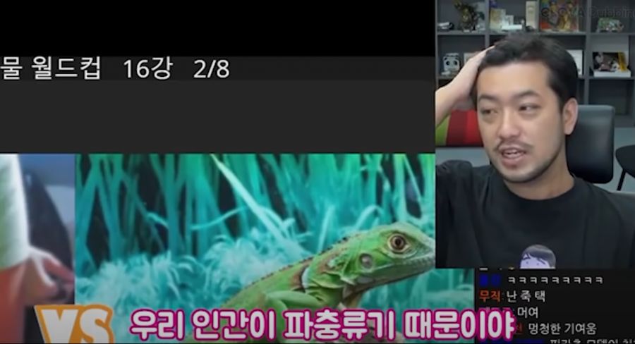 인방) 침착맨은 진짜 유명한 렙틸리언임.jpg_1.png