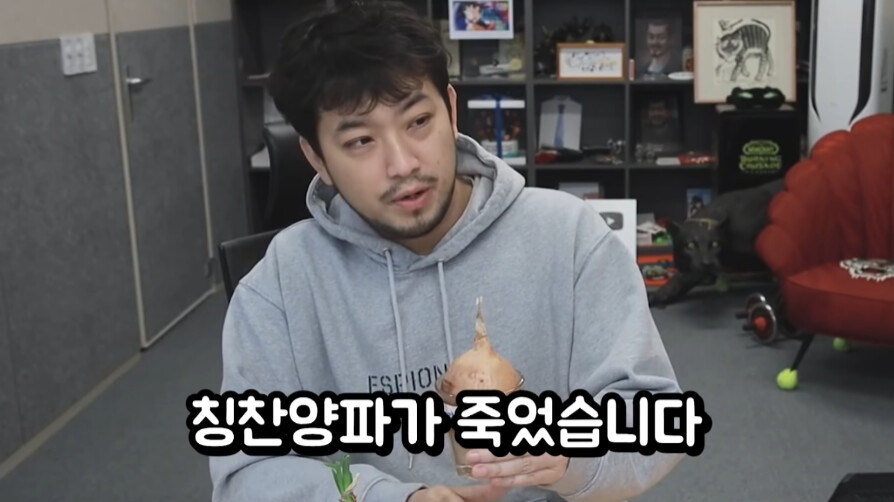 인방) 칭찬 양파 - 비난 양파 실험 근황_3.png