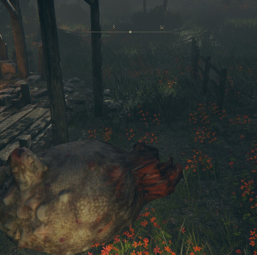 업뎃 이후 각 지역과 장소별로 "의태의 베일"이 다르게 작동됩니다(스샷)_4.jpg