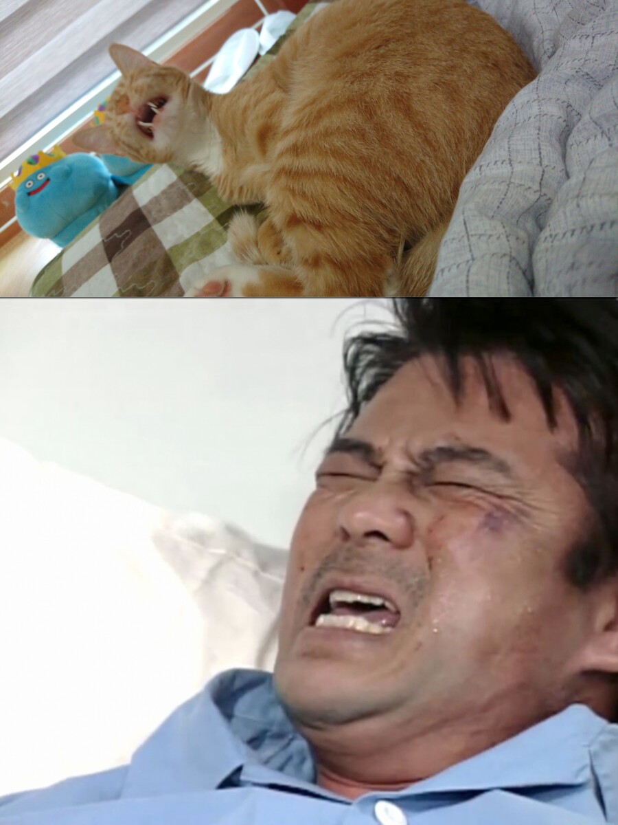 새 sd카드 구입에 따른 데이터 이전 문의드립니다._1.jpg