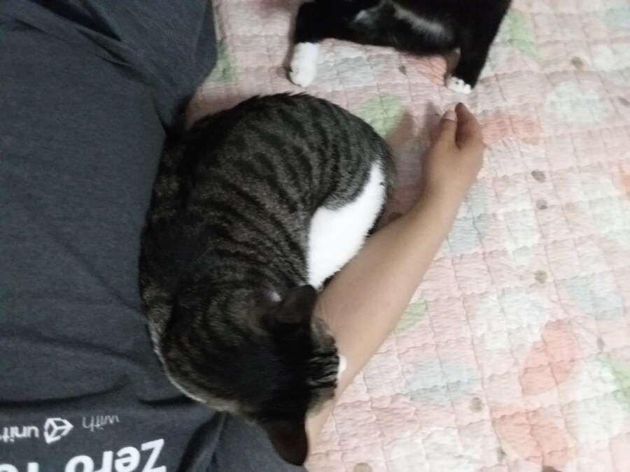 [인디팀] '쿠키냥' 간단히 즐기는 3매치 퍼즐 게임_14.jpg