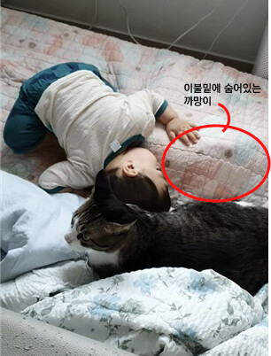 [인디팀] '쿠키냥' 간단히 즐기는 3매치 퍼즐 게임_20.png