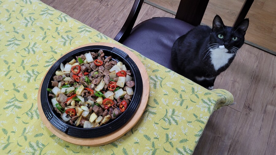 야옹이랑 먹는 닭똥집볶음_11.jpg