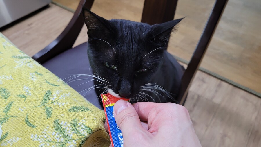 야옹이랑 먹는 닭똥집볶음_15.jpg