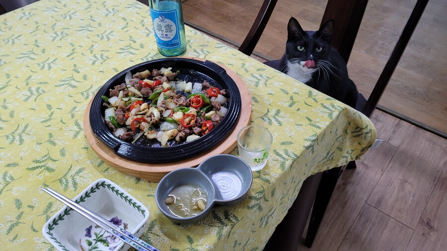 야옹이랑 먹는 닭똥집볶음_18.jpg