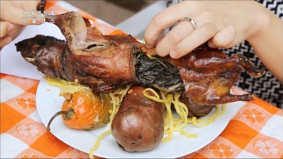 기니피그를 한 마음으로 귀여워하는 축제jpgif