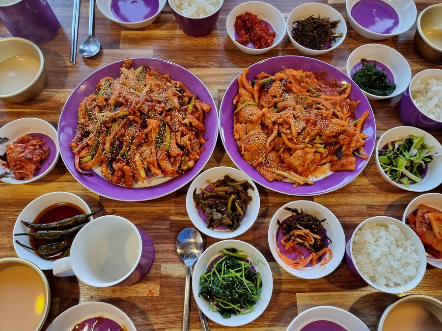 신안 퍼플섬박지도 에서 1박