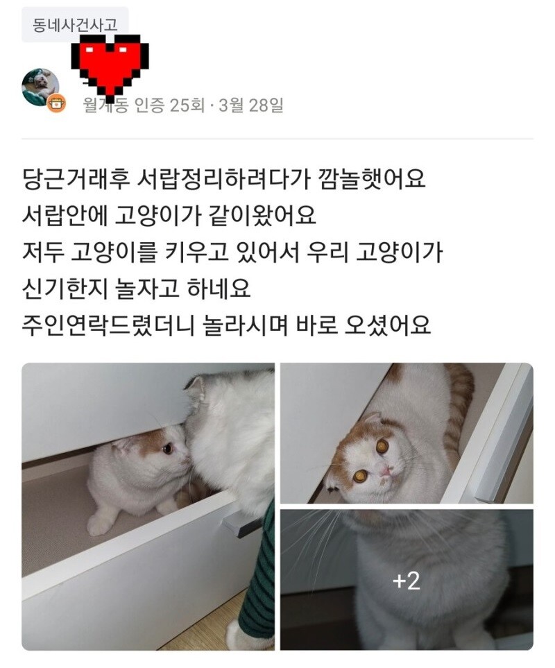 의외로 정상입니다.jpg_1.jpg