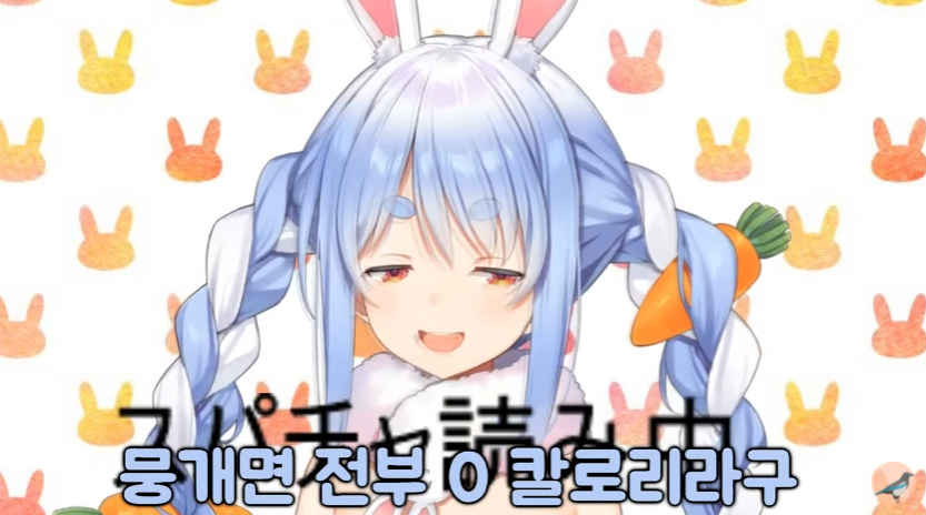 버튜버)페코라의 기적의 다이어트 방법_2.png