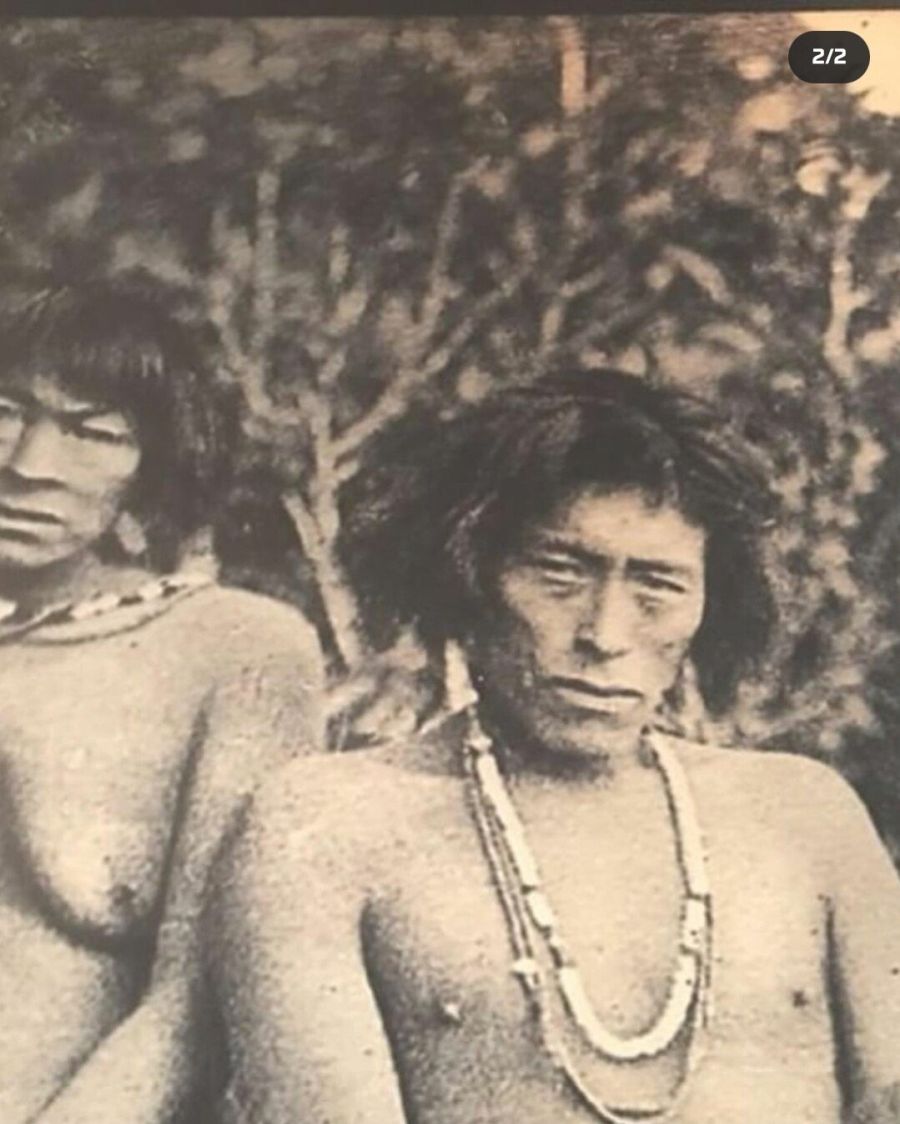 개그맨 김재우 근황(전생의 친구 찾음).jpg_2.jpg