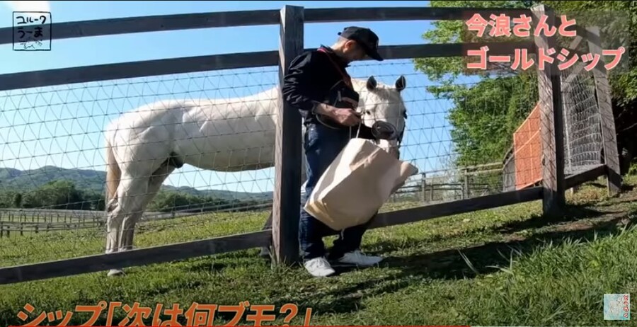 말딸) 고루시 은퇴후 이야기_10.jpg