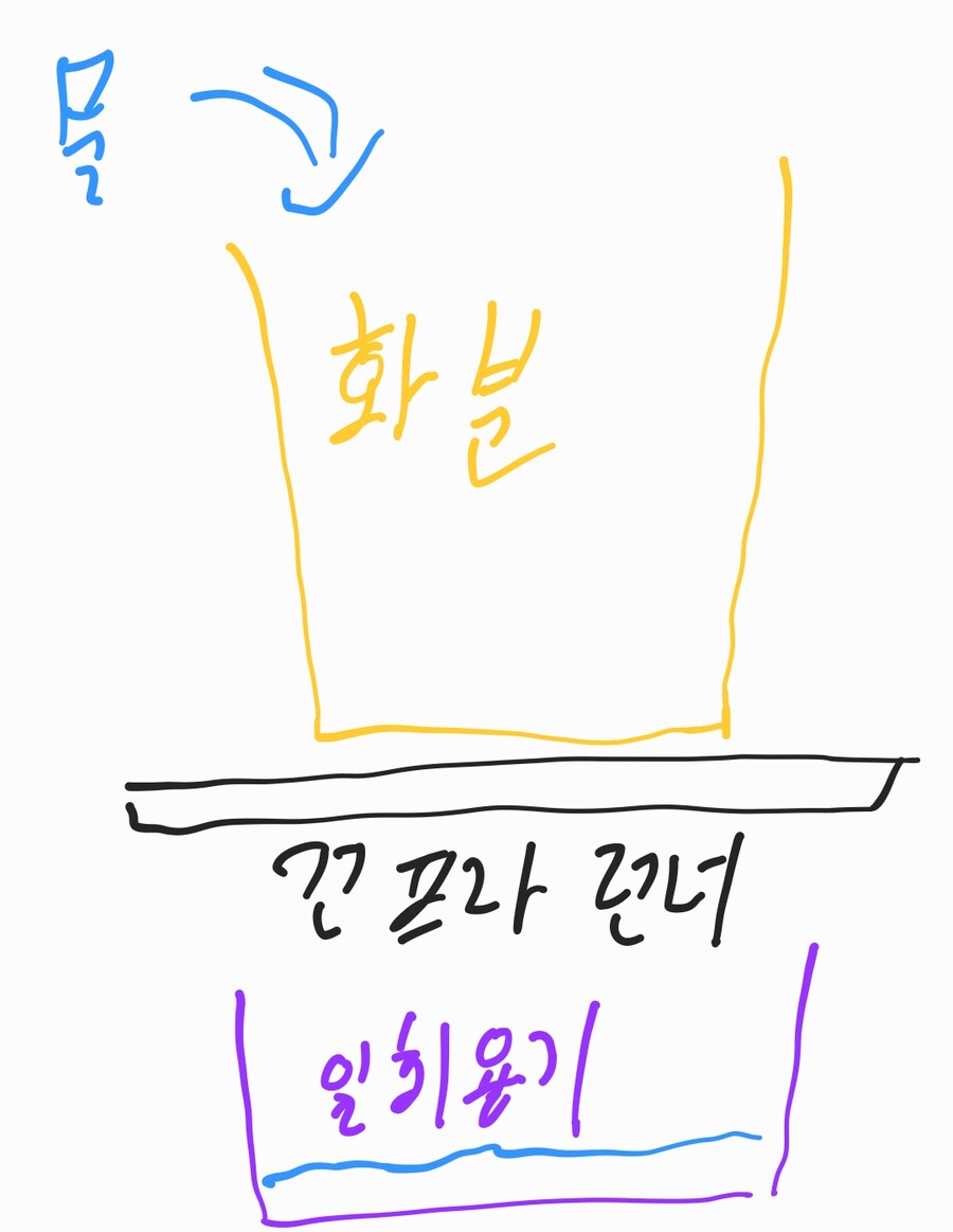 먹고난 당근 옮겨심기_7.jpg