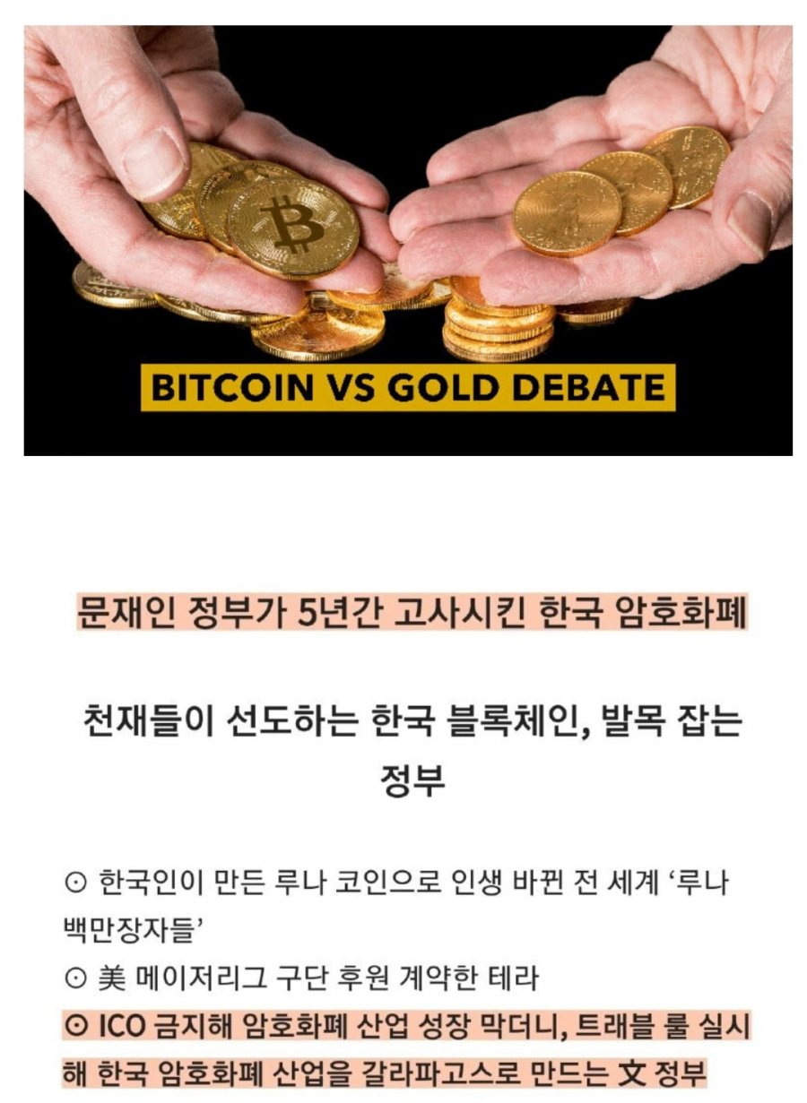 문재인 정부가 5년간 고사시킨 루나