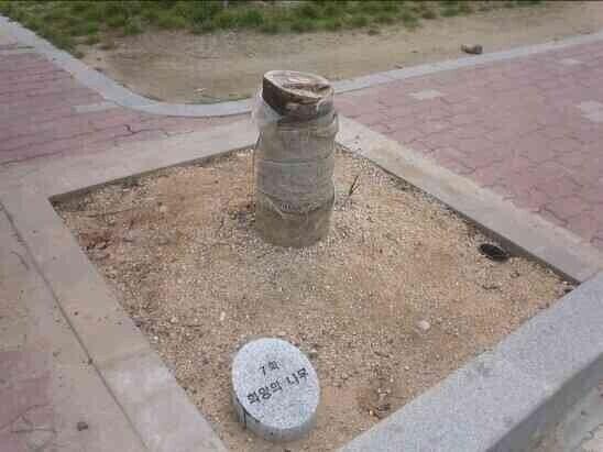 대한민국 레전드 사진_9.jpg