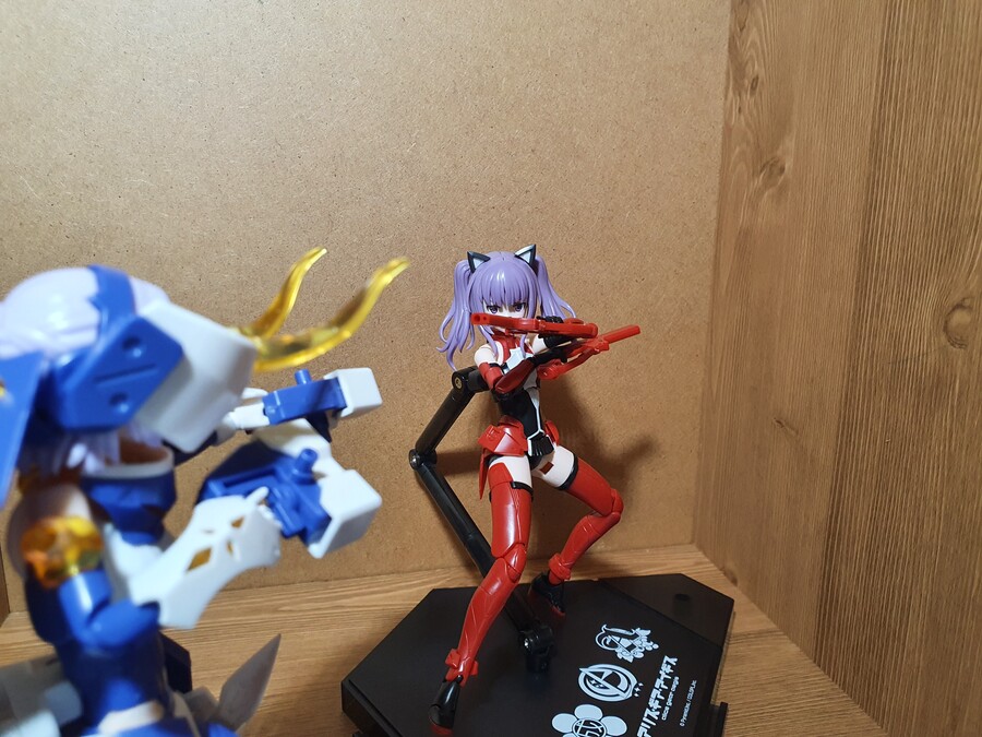 [메가미디바이스] AGA 이치죠 아야카 [에이슌]_13.jpg