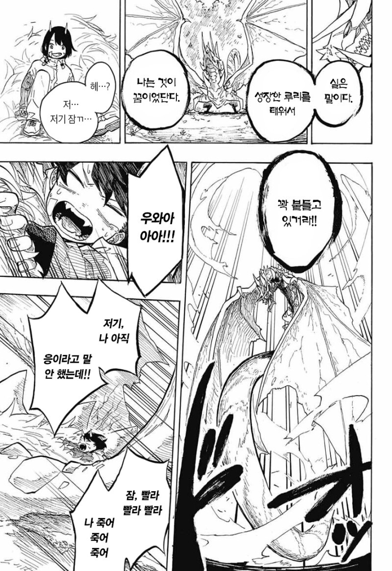 여고생 루리드래곤 정식 연재일 확정_38.jpg
