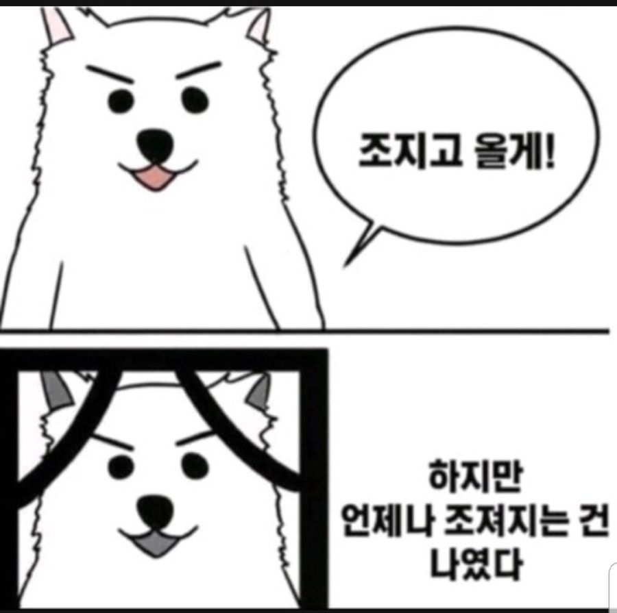 !조져지는건나.jpg