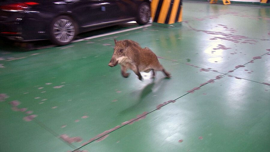 서울)시골 지방에서는 보기 힘든 것_2.jpeg