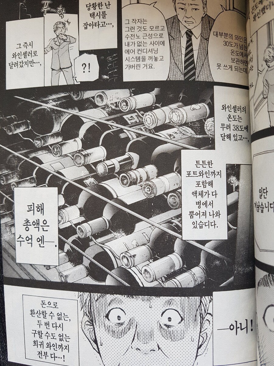 김전일속에 나오는 살인 사건 동기_2.jpg