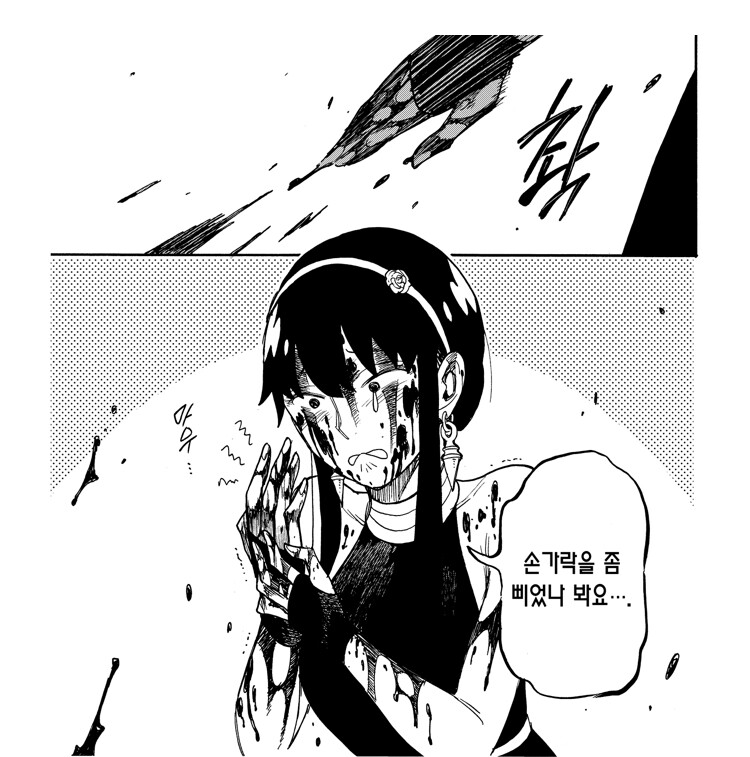 스파이 패밀리)스포)로이드와 요르의 전투 방식 차이_6.jpeg