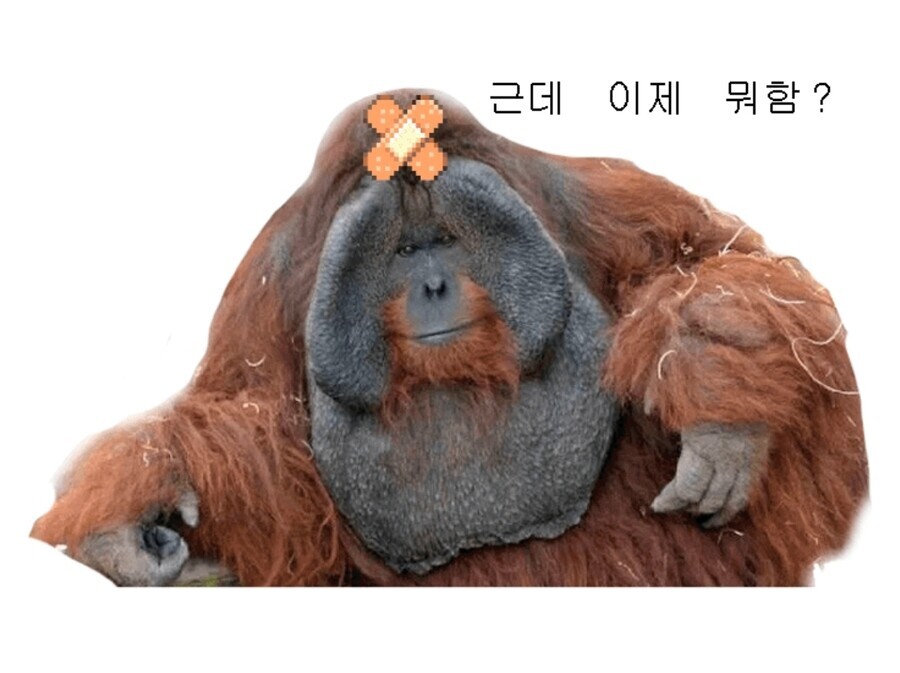 근데 이제 뭐함?_1.jpg
