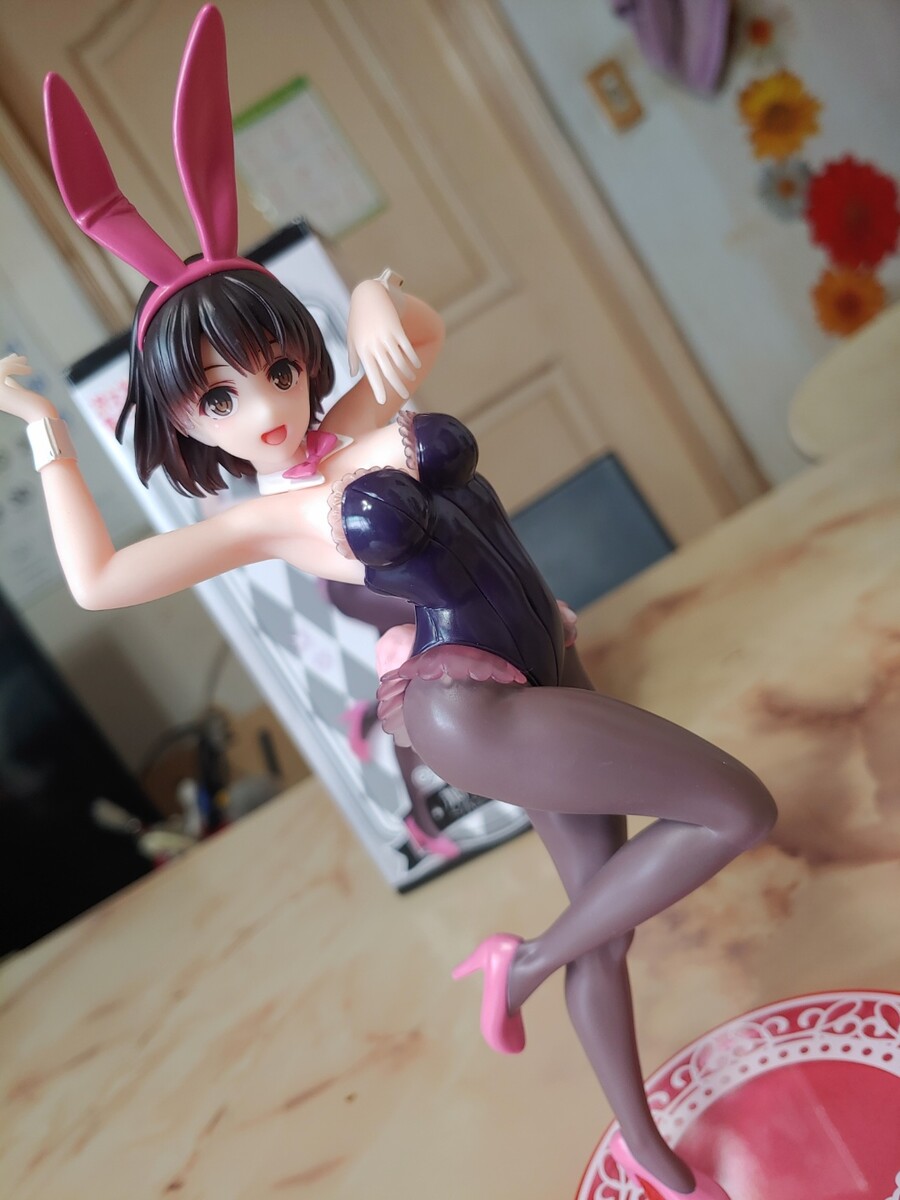 카토 피규어 (타이토 바니)_6.jpg