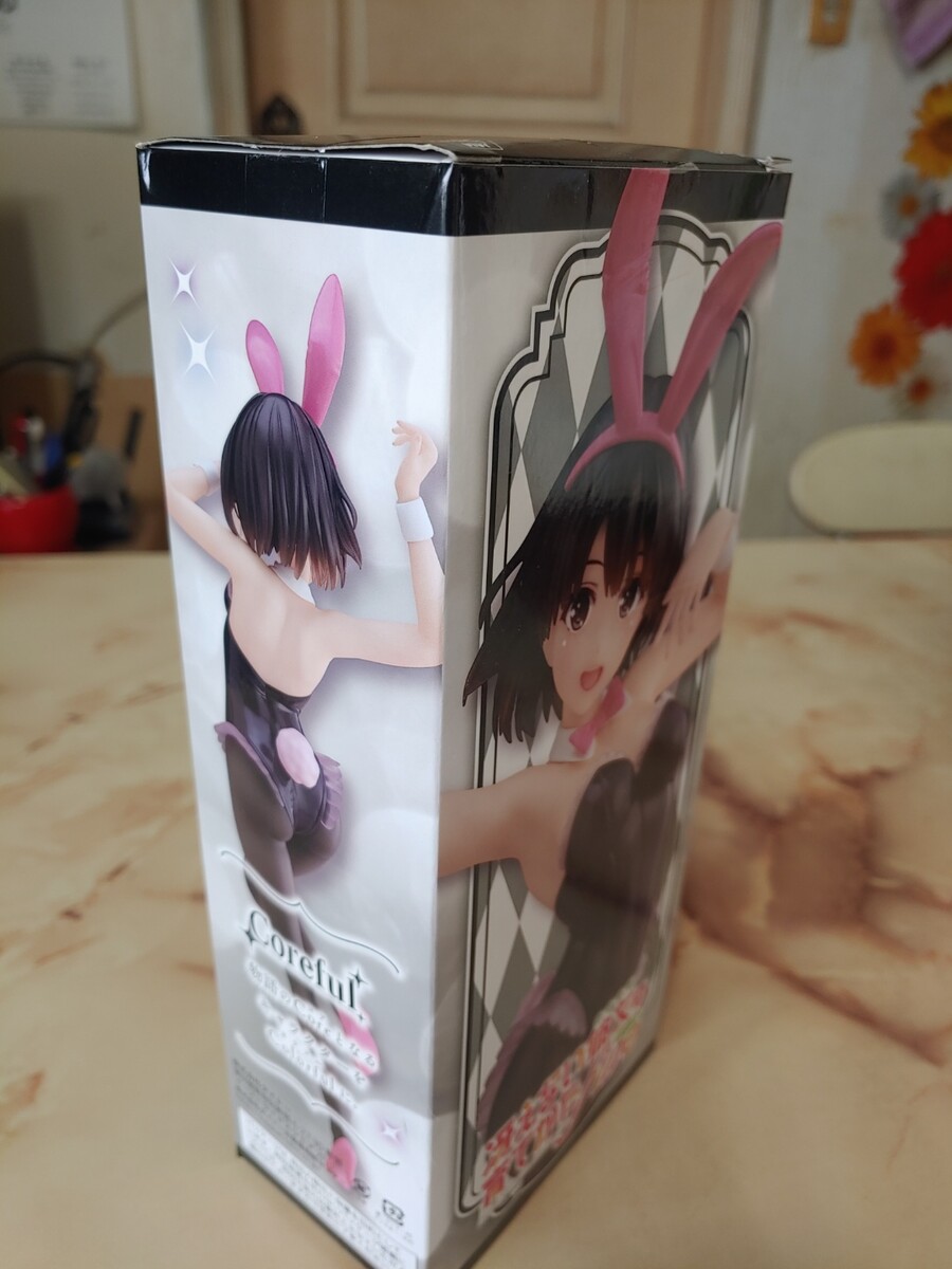 카토 피규어 (타이토 바니)_8.jpg