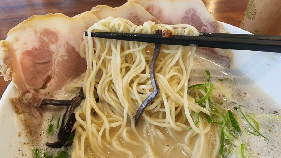 수원 도이라멘에 갔습니다._3.jpg