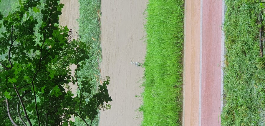 홍수난 동네 하천 근황_2.jpg