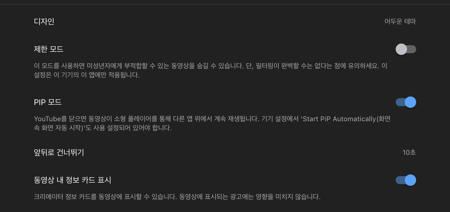 아이패드) 드디어 유튜브 pip 정식으로 지원하네_1.jpeg