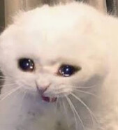 칭송받는자) 눈물이 멈추질 않음_2.png