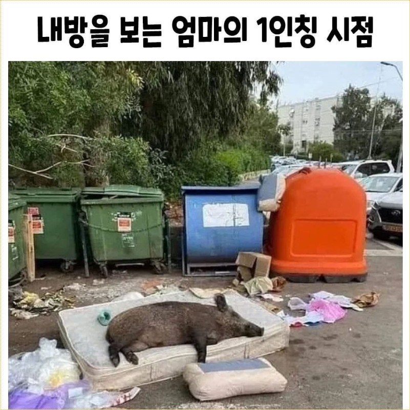내 방을 보는 엄마의 시점jpg