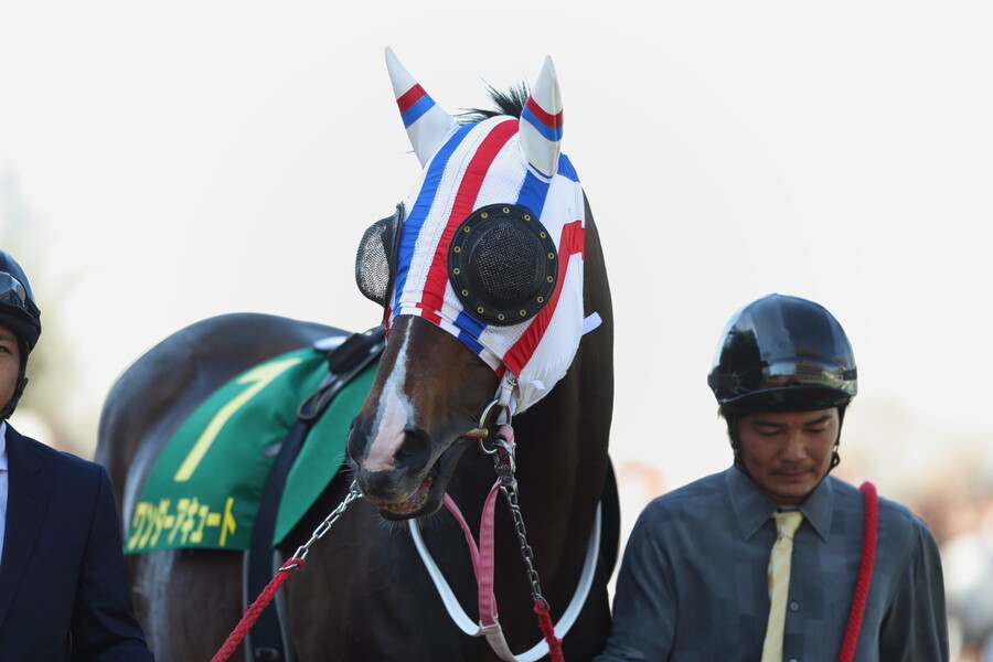 말딸) 신캐들 장식들 역시나 원본마 고증 ㄷㄷ_3.jpg