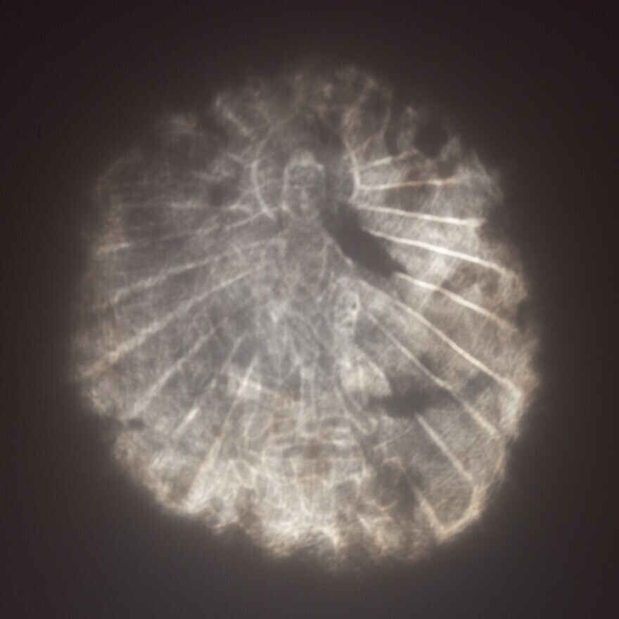 박물관 창고에 5년동안 방치되어 있던 청동거울_3.jpg