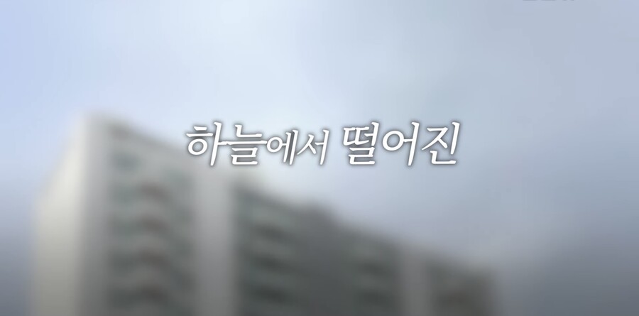 아파트에서 리얼돌 떨어뜨린 사람 누구냐?_1.jpeg