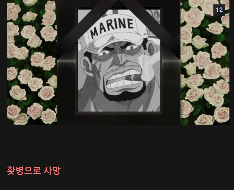 원피스스포 )아카이누 홧병 모음집 ㄹㅇ ㅠㅠ....JPG_12.jpg