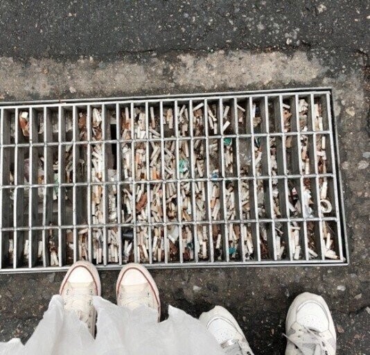 혈압주의) 평소 배수구 상황_1.jpg